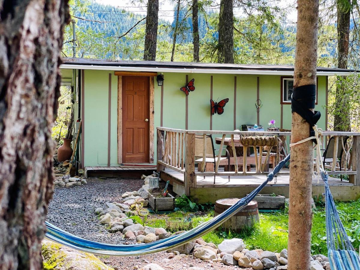 Mt Rainier Little Green Cabin On Big Creek! Ashford Exterior photo