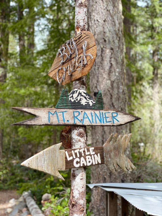 Mt Rainier Little Green Cabin On Big Creek! Ashford Exterior photo