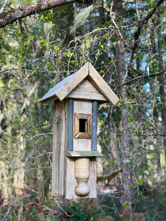Mt Rainier Little Green Cabin On Big Creek! Ashford Exterior photo