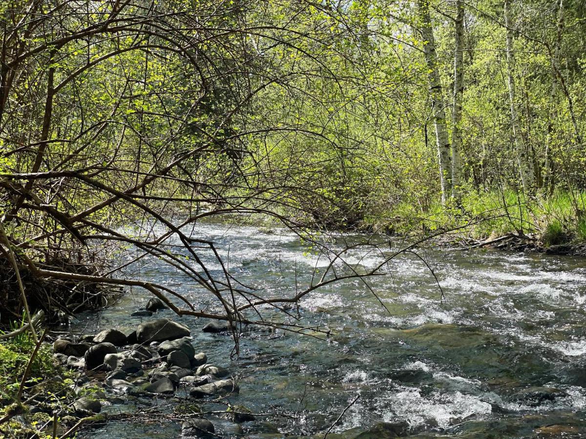 Mt Rainier Little Green Cabin On Big Creek! Ashford Exterior photo