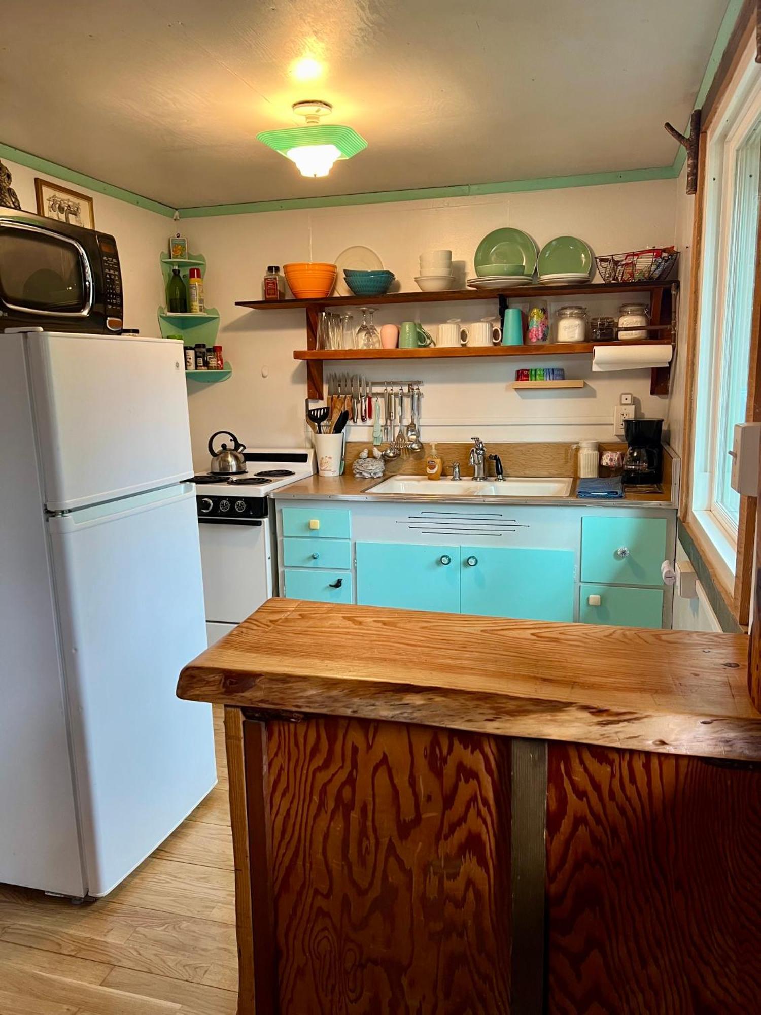 Mt Rainier Little Green Cabin On Big Creek! Ashford Exterior photo